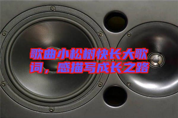 歌曲小松樹快長大歌詞，感描寫成長之路