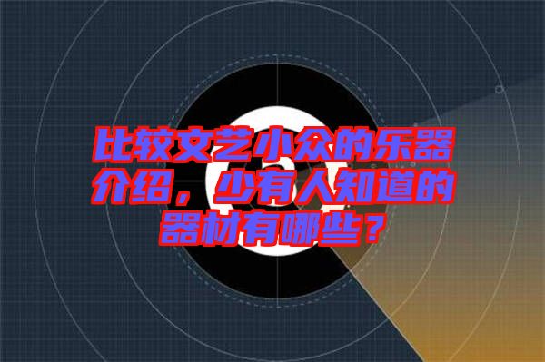 比較文藝小眾的樂(lè)器介紹，少有人知道的器材有哪些？