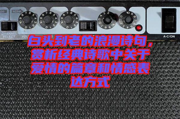白頭到老的浪漫詩(shī)句，賞析經(jīng)典詩(shī)歌中關(guān)于愛(ài)情的篇章和情感表達(dá)方式