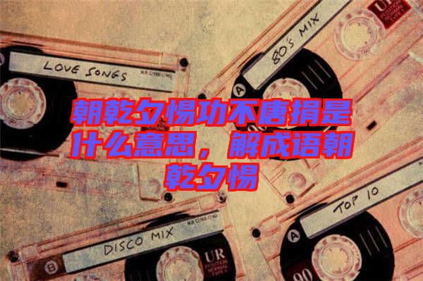 朝乾夕惕功不唐捐是什么意思，解成語(yǔ)朝乾夕惕