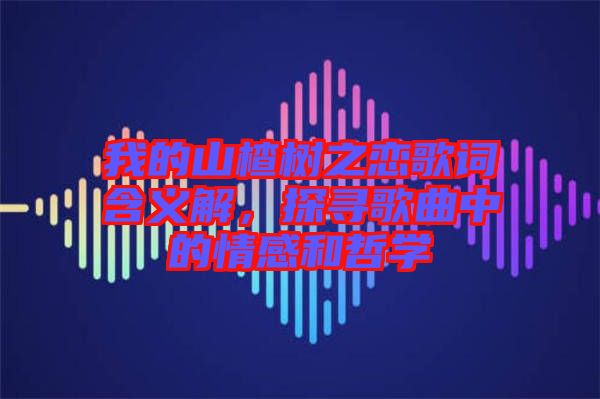 我的山楂樹之戀歌詞含義解，探尋歌曲中的情感和哲學(xué)