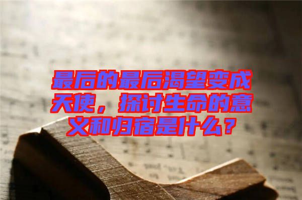 最后的最后渴望變成天使，探討生命的意義和歸宿是什么？
