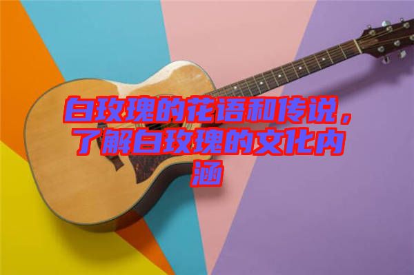 白玫瑰的花語和傳說，了解白玫瑰的文化內涵