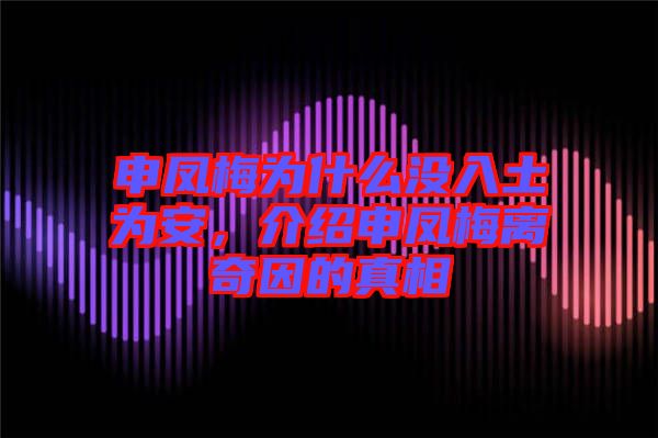 申鳳梅為什么沒入土為安，介紹申鳳梅離奇因的真相