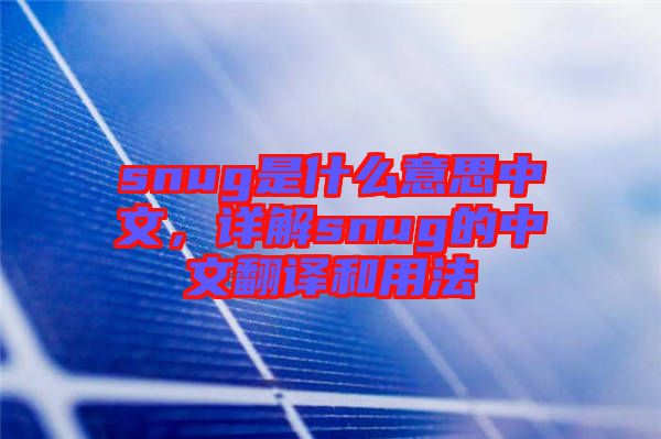 snug是什么意思中文，詳解snug的中文翻譯和用法