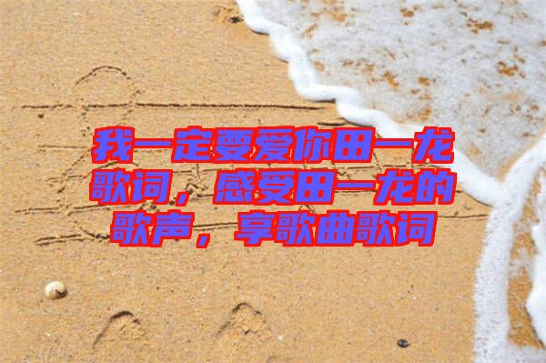 我一定要愛你田一龍歌詞，感受田一龍的歌聲，享歌曲歌詞