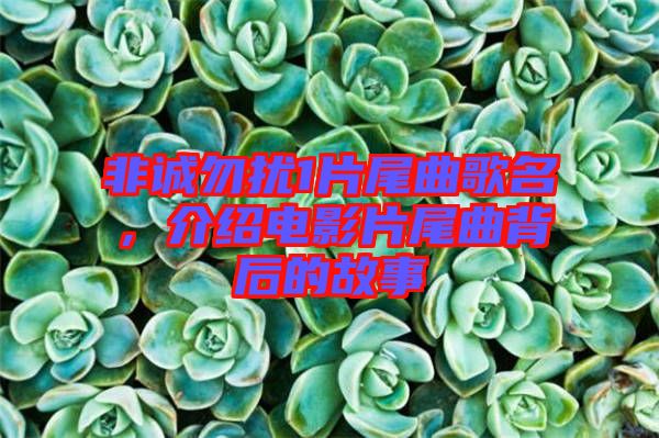非誠(chéng)勿擾1片尾曲歌名，介紹電影片尾曲背后的故事