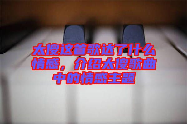 太傻這首歌達了什么情感，介紹太傻歌曲中的情感主題