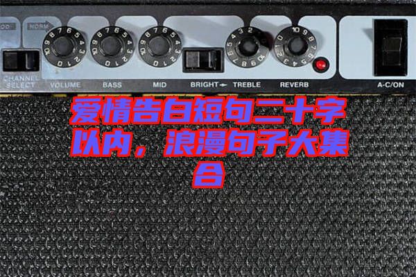 愛情告白短句二十字以內(nèi)，浪漫句子大集合