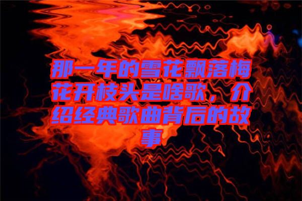 那一年的雪花飄落梅花開枝頭是啥歌，介紹經(jīng)典歌曲背后的故事