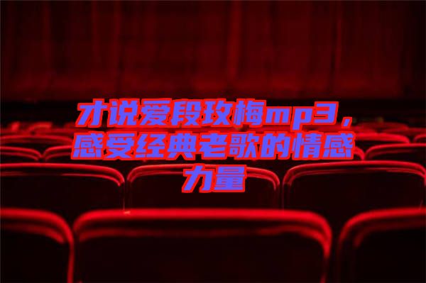 才說愛段玫梅mp3，感受經典老歌的情感力量