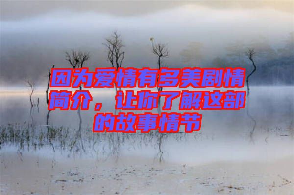 因?yàn)閻?ài)情有多美劇情簡(jiǎn)介，讓你了解這部的故事情節(jié)