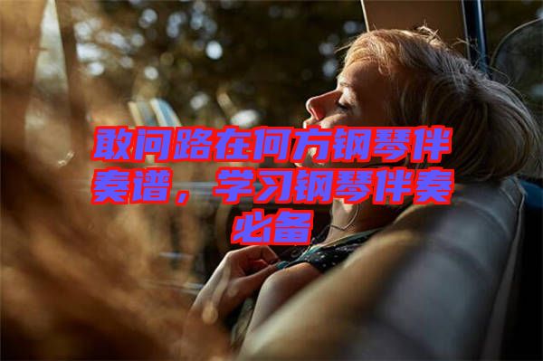 敢問(wèn)路在何方鋼琴伴奏譜，學(xué)習(xí)鋼琴伴奏必備