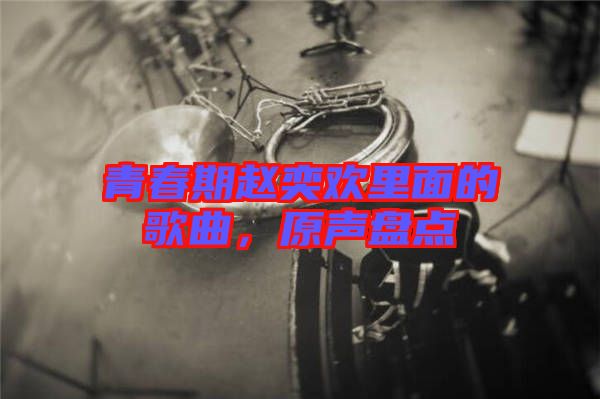 青春期趙奕歡里面的歌曲，原聲盤點