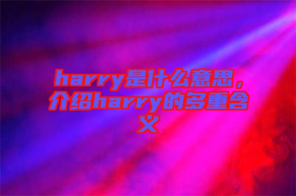 harry是什么意思，介紹harry的多重含義