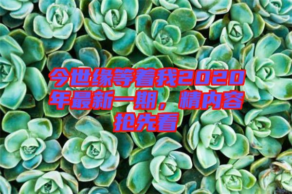 今世緣等著我2020年最新一期，精內(nèi)容搶先看