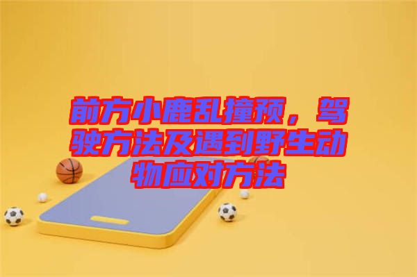 前方小鹿亂撞預(yù)，駕駛方法及遇到野生動(dòng)物應(yīng)對(duì)方法