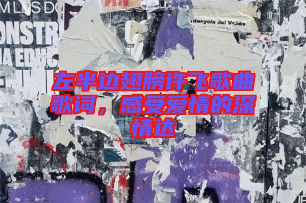 左半邊翅膀許飛歌曲歌詞，感受愛情的深情達