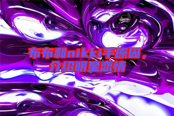 布布和nikki手原因，介紹明星戀情