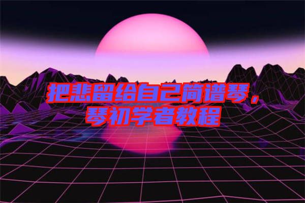 把悲留給自己簡譜琴，琴初學(xué)者教程