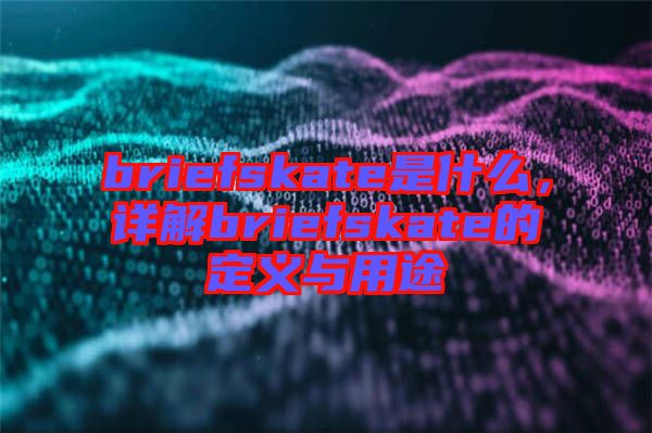briefskate是什么，詳解briefskate的定義與用途