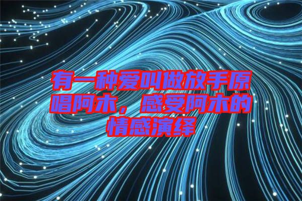 有一種愛叫做放手原唱阿木，感受阿木的情感演繹