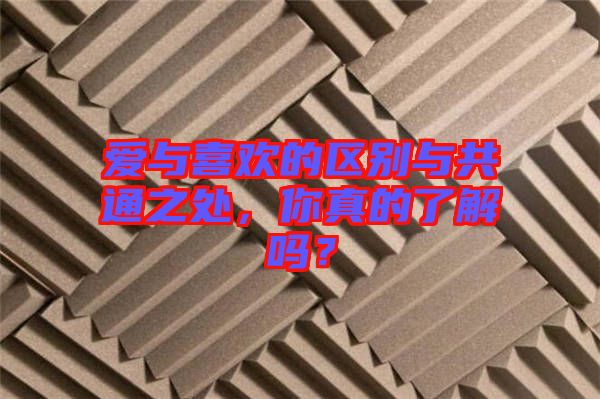 愛與喜歡的區(qū)別與共通之處，你真的了解嗎？
