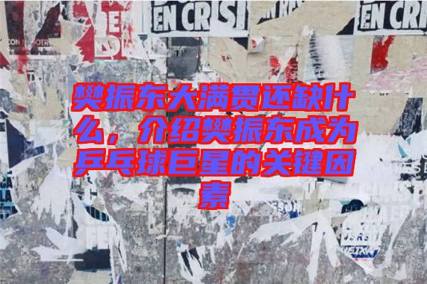 樊振東大滿貫還缺什么，介紹樊振東成為乒乓球巨星的關鍵因素