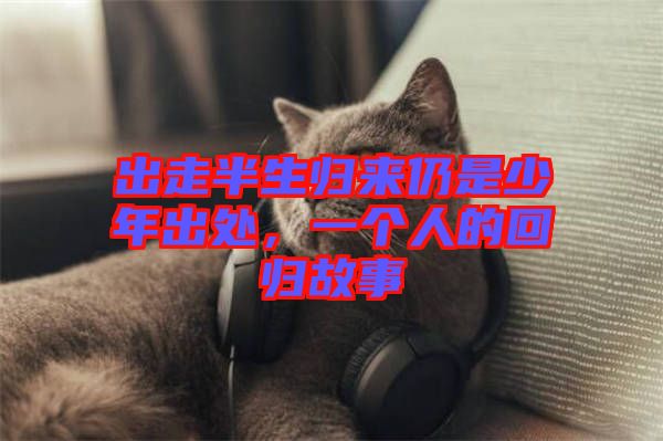 出走半生歸來仍是少年出處，一個人的回歸故事