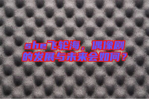 she飛輪海，偶像劇的發(fā)展與未來會如何？