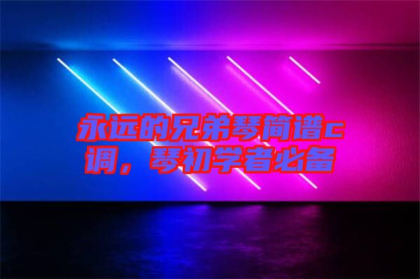 永遠(yuǎn)的兄弟琴簡譜c調(diào)，琴初學(xué)者必備