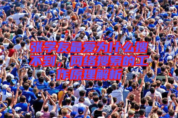 張學友最愛為什么搜不到，網絡搜索的工作原理解析