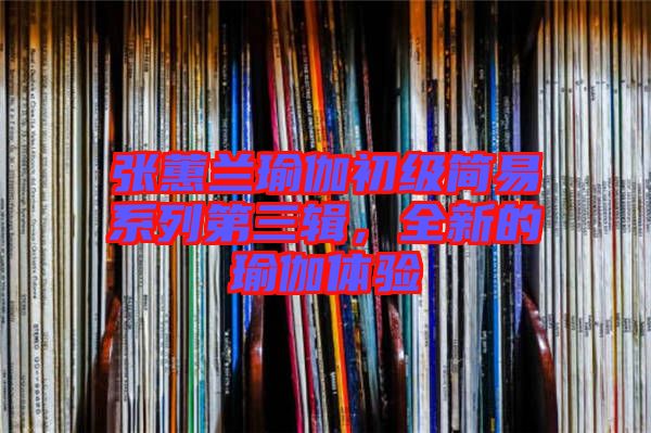 張蕙蘭瑜伽初級(jí)簡易系列第三輯，全新的瑜伽體驗(yàn)