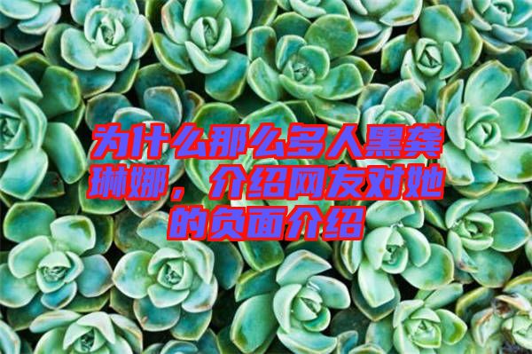 為什么那么多人黑龔琳娜，介紹網(wǎng)友對(duì)她的負(fù)面介紹