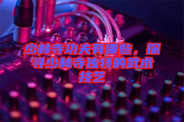 少林寺功夫有哪些，探尋少林寺獨特的武術(shù)技藝