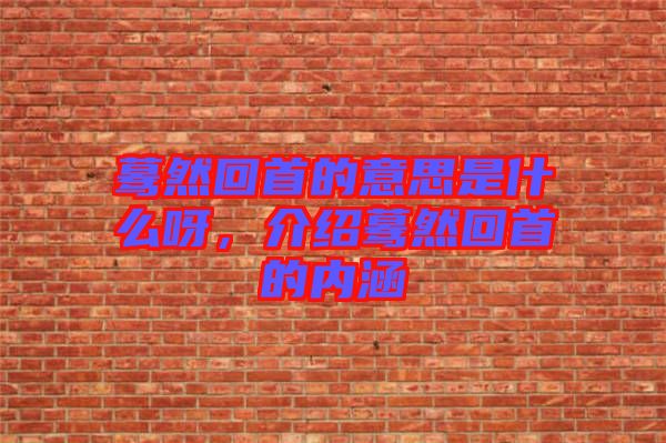 驀然回首的意思是什么呀，介紹驀然回首的內(nèi)涵
