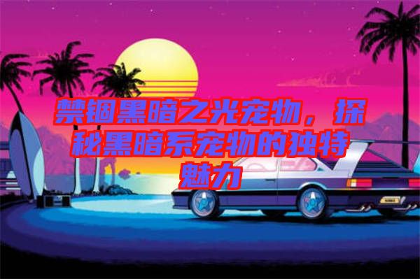 禁錮黑暗之光寵物，探秘黑暗系寵物的獨(dú)特魅力