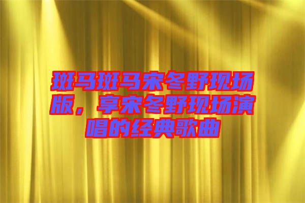 斑馬斑馬宋冬野現(xiàn)場(chǎng)版，享宋冬野現(xiàn)場(chǎng)演唱的經(jīng)典歌曲