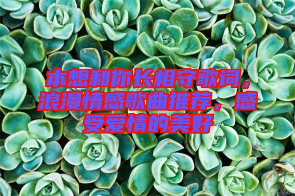本想和你長相守歌詞，浪漫情感歌曲推薦，感受愛情的美好