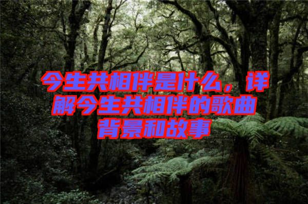 今生共相伴是什么，詳解今生共相伴的歌曲背景和故事