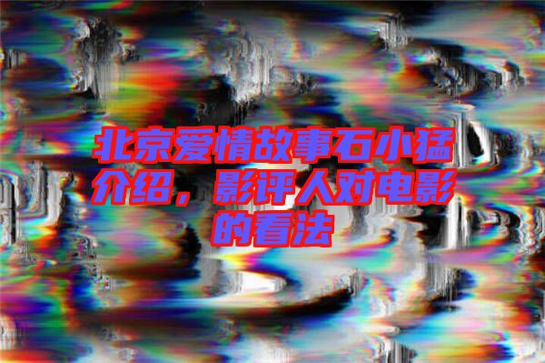 北京愛情故事石小猛介紹，影評人對電影的看法