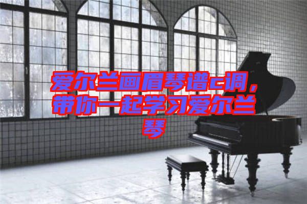 愛爾蘭畫眉琴譜c調(diào)，帶你一起學(xué)習(xí)愛爾蘭琴