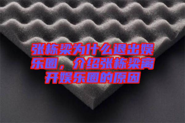 張棟梁為什么退出娛樂(lè)圈，介紹張棟梁離開(kāi)娛樂(lè)圈的原因