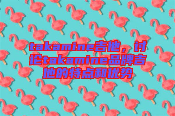 takamine吉他，討論takamine品牌吉他的特點和優(yōu)勢