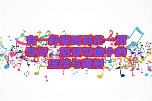 有一種愛叫曇花一現(xiàn)歌詞，感受歌曲中的深情與離別