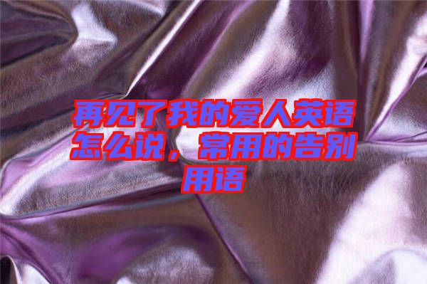 再見了我的愛人英語怎么說，常用的告別用語