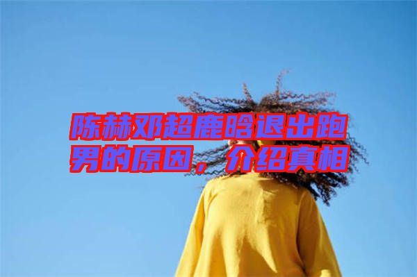 陳赫鄧超鹿晗退出跑男的原因，介紹真相