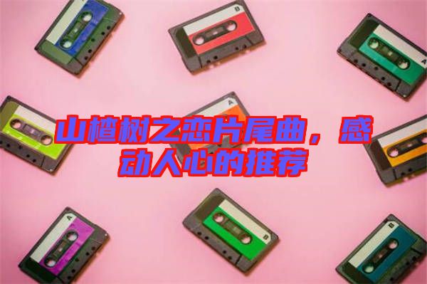 山楂樹(shù)之戀片尾曲，感動(dòng)人心的推薦