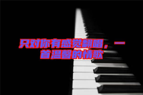只對(duì)你有感覺(jué)翻唱，一首溫馨的情歌