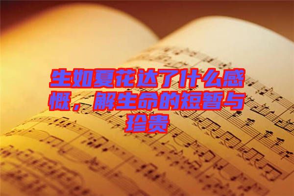 生如夏花達了什么感慨，解生命的短暫與珍貴